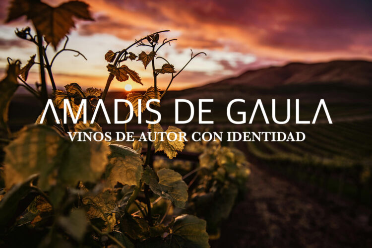 Bodega Amadis de Gaula, vinos de autor con identidad en España