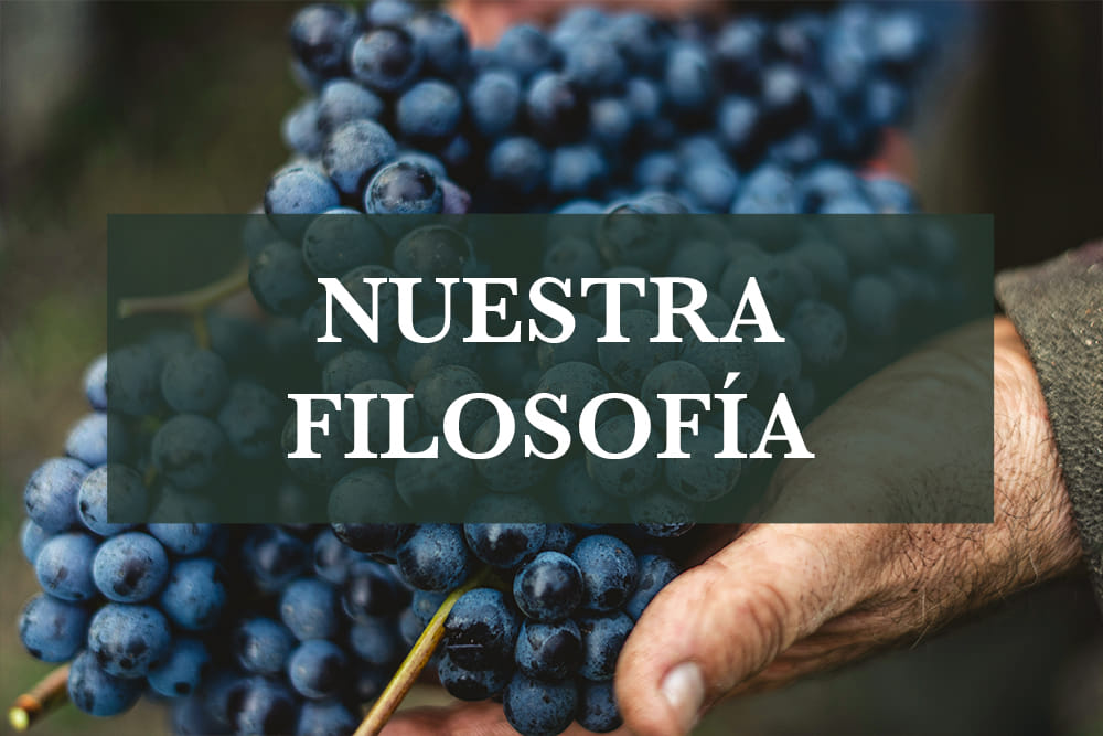 La forma de entender el vino en Bodega Amadís de Gaula