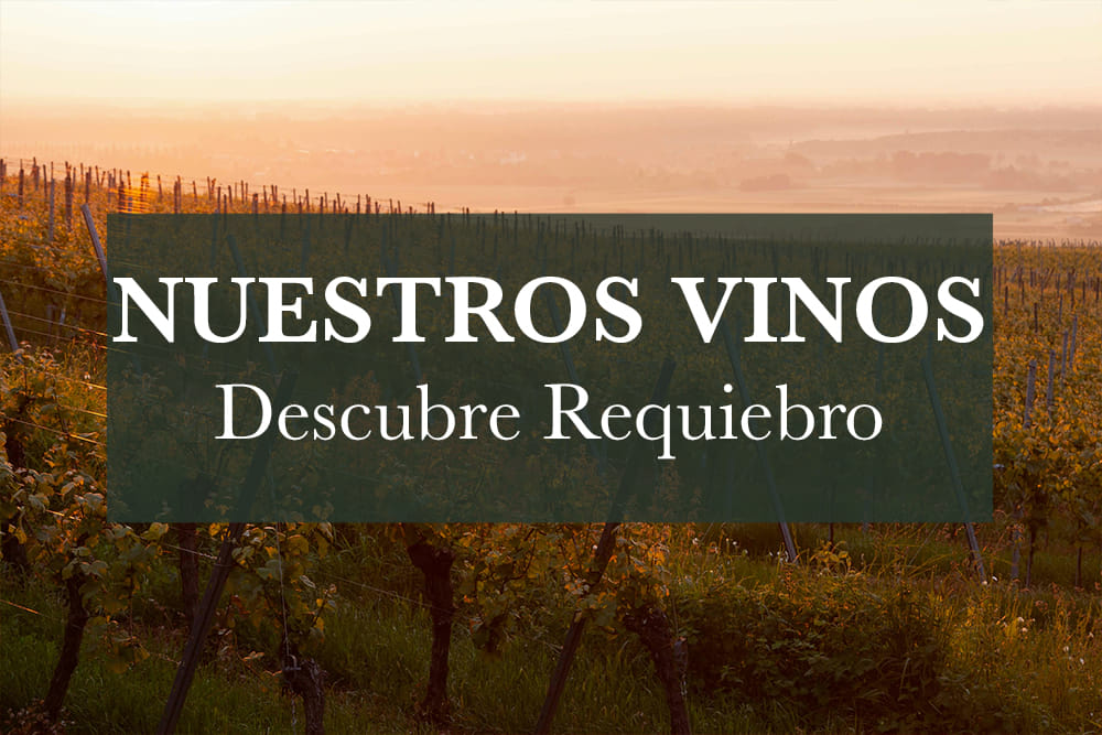 Descubre todo los vinos de La Bodega de Amadis de Gaula, Castilla La Mancha. Ciudad Real
