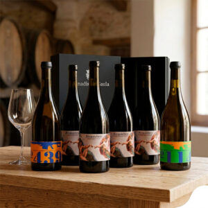 Pack degustación y regalo Requiebro con seis vinos de autor de Bodega Amadís de Gaula